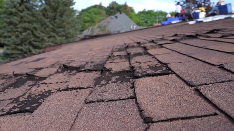 Roof Coating Services in Charleston, MS