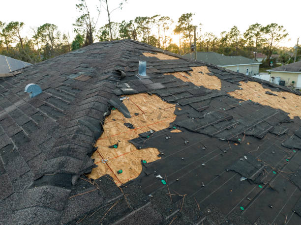 Best Asphalt Shingle Roofing  in Charleston, MS