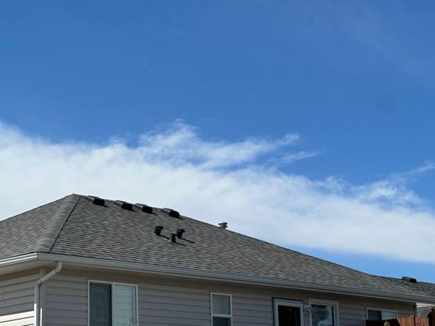 Best 4 Ply Roofing  in Charleston, MS